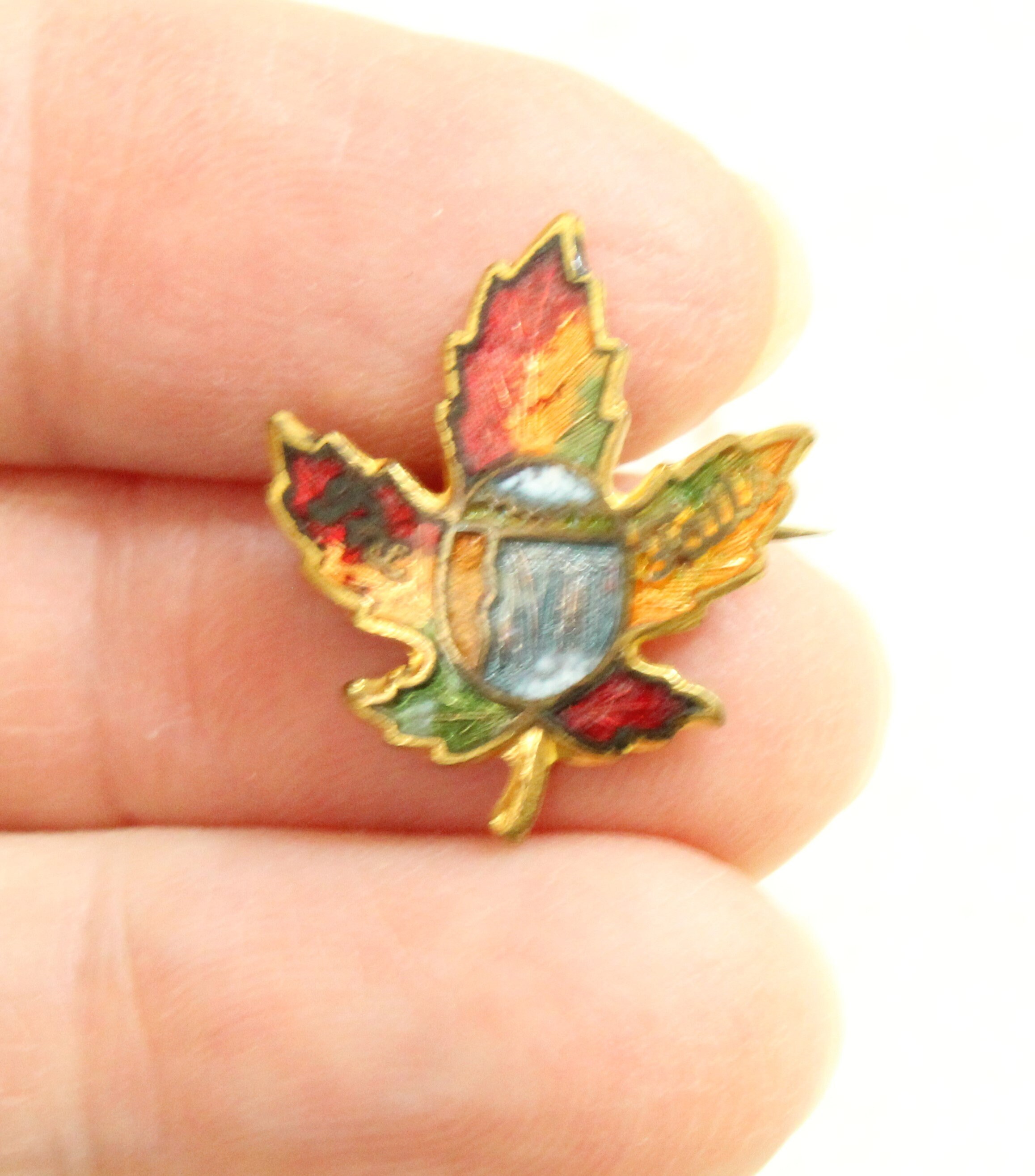 Haisla Heiltsuk First Nations 'maple Leaf' Enamel Pin 