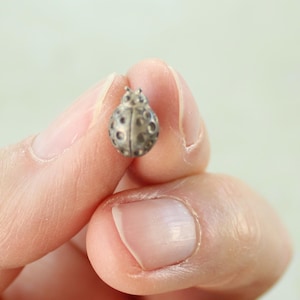 May include: A small, metallic, silver-toned ladybug figurine with a rounded body and textured, circular indentations across its surface. The insect-shaped object features a distinct head section and a segmented back, showcasing a polished, reflective finish.