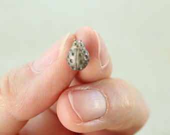 May include: A small, metallic, silver-toned ladybug figurine with a rounded body and textured, circular indentations across its surface. The insect-shaped object features a distinct head section and a segmented back, showcasing a polished, reflective finish.