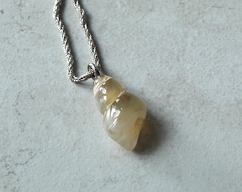 May include: A necklace featuring a polished, translucent, light beige shell-shaped pendant suspended from a silver-toned twisted rope chain. The pendant has a smooth, glossy surface with subtle variations in color and a spiral-like form.