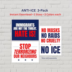 Puede incluir: Un paquete de 3 carteles digitales con texto político. Un cartel dice IMMIGRANTS ARE NOT THE THREAT. HATE IS! Otro dice STOP TERRORIZING OUR NEIGHBORS. El tercero dice NO MASKS NO RAIDS NO CRUELTY NO ICE. El texto es rojo, blanco y azul.
