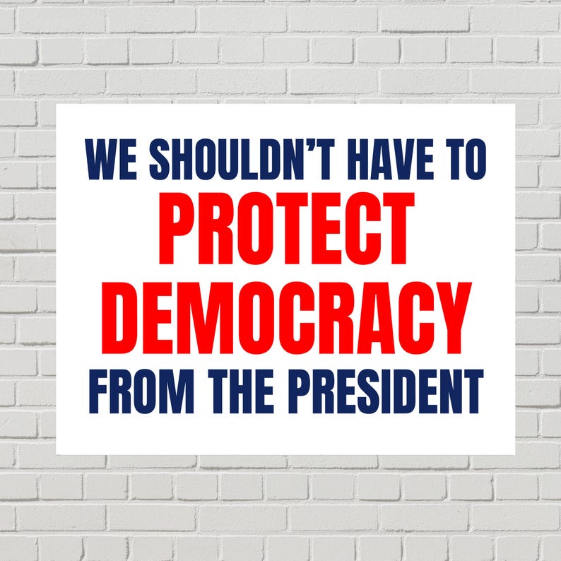May include: White rectangular sign with navy blue and red text. The text reads: "WE SHOULDN'T HAVE TO PROTECT DEMOCRACY FROM THE PRESIDENT."
