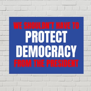 May include: A blue rectangular sign with white text that reads "PROTECT DEMOCRACY FROM THE PRESIDENT." The words "WE SHOULDN'T HAVE TO" are above the main text in red. The sign is against a white brick wall.