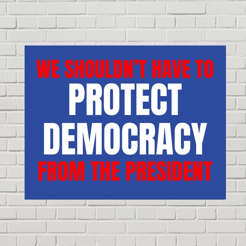 May include: A blue rectangular sign with white text that reads "PROTECT DEMOCRACY FROM THE PRESIDENT." The words "WE SHOULDN'T HAVE TO" are above the main text in red. The sign is against a white brick wall.