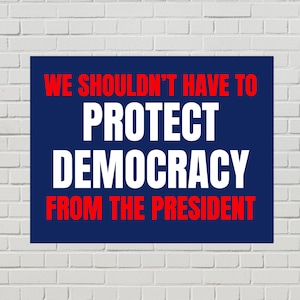 PROTECT - Pro Democracy Poster, Printable Protest Sign, Anti-Trump March, Political Rally Download, Instant Digital File (4 Colors, 2 Sizes)