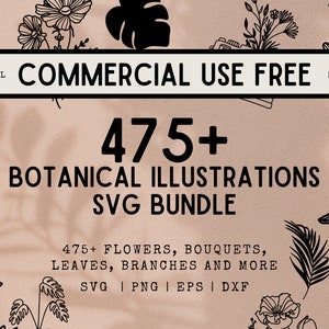 Plus de 475 illustrations botaniques SVG - dessins au trait fleurs, bouquets, feuilles et branches - usage commercial gratuit