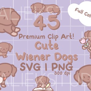 45 süße Daucshunds Premium Clip Art Bundle - Süße Kawaii oder Chibi farbige Daucshund Daucshunds Bilder in SVG und transparente PNG Dateien