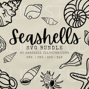 Può includere: Un'illustrazione in bianco e nero di conchiglie di varie forme e dimensioni. Il testo "Seashells SVG Bundle" e "60 Seashell Illustrations" è incluso nell'immagine. Il testo "SVG | PNG | EPS | DXF" è incluso anche nell'immagine.