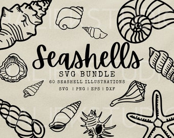 Seashell SVG Bundle: 60 Seashell Illustrations Clip Art (Digital Download)
