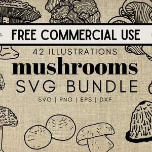 Mushroom SVG Bundle: 42 Hand-Drawn Illustrations (Commercial Use)