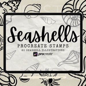 60 Seashell Procreate Stamps Brush Set