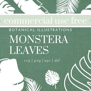 45 Monstera Leaves Svg Bundle - Tropical themed images in SVG, png, dxf, or eps files to use as clip art - Commercial Use Free