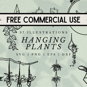 37 Hanging Plants SVG Illustrations- line art plant images in SVG, png, dxf, or eps files - Free Commercial Use