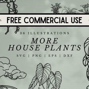 36 Más ilustraciones SVG de plantas domésticas: imágenes de plantas de arte lineal en archivos SVG, png, dxf o eps - Uso comercial gratuito