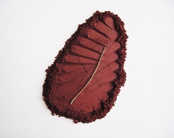 May include: A close-up of a red powder in the shape of a leaf with a thin twig running through the center.