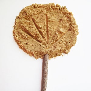 Eichen-Concealer - Pure and Natural Minerals