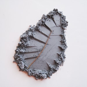 Ashland - Pure and Natural Mineral Eye Shadow