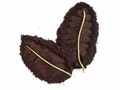 Swiss Java - Pure and Natural Mineral  Eye Liner