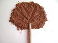 Treasured Bronze - Pure and Natural Mineral Bronzer