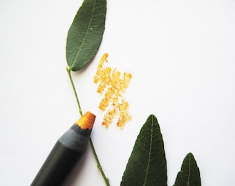 Puede incluir: Un lápiz de color naranja con cuerpo negro y una hoja verde sobre fondo blanco. Se ve una pequeña marca naranja. La imagen es un primer plano.