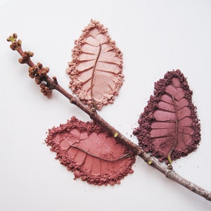 Pode incluir: Três pilhas de pó solto de blush em forma de folha em tons de rosa e marrom, dispostas sobre uma superfície branca com um galho e botões.