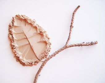 May include: A light brown powder in the shape of a leaf with a thin twig resting on top of it.