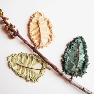 Puede incluir: Tres montones de polvo en forma de hoja en tonos verdes, beige y marrón. Una ramita con brotes marrones atraviesa el centro de la imagen.