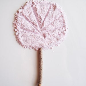 Carnation - Pure and Natural Mineral Concealer