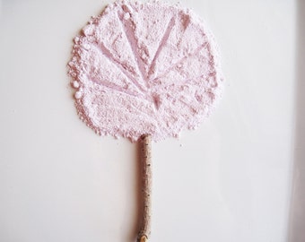 Clavel - Corrector mineral puro y natural