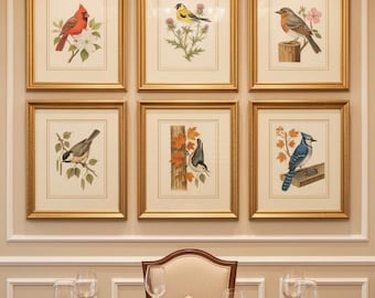 Vintage Bird Prints Set, Botanical Wall Art, Framed Bird Illustrations
