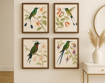 Hummingbird Botanical Art Prints, Set of 4, Vintage Style Wall Decor
