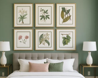 Botanical Prints Wall Art Set, Vintage Style Plant Illustrations, Framed or Unframed