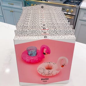 May include: A box featuring pink inflatable flamingo and swan drink holders. The box has a pink background with the words "BLUSH FLOCK" in white. The top of the box has a black and white polka dot pattern.
