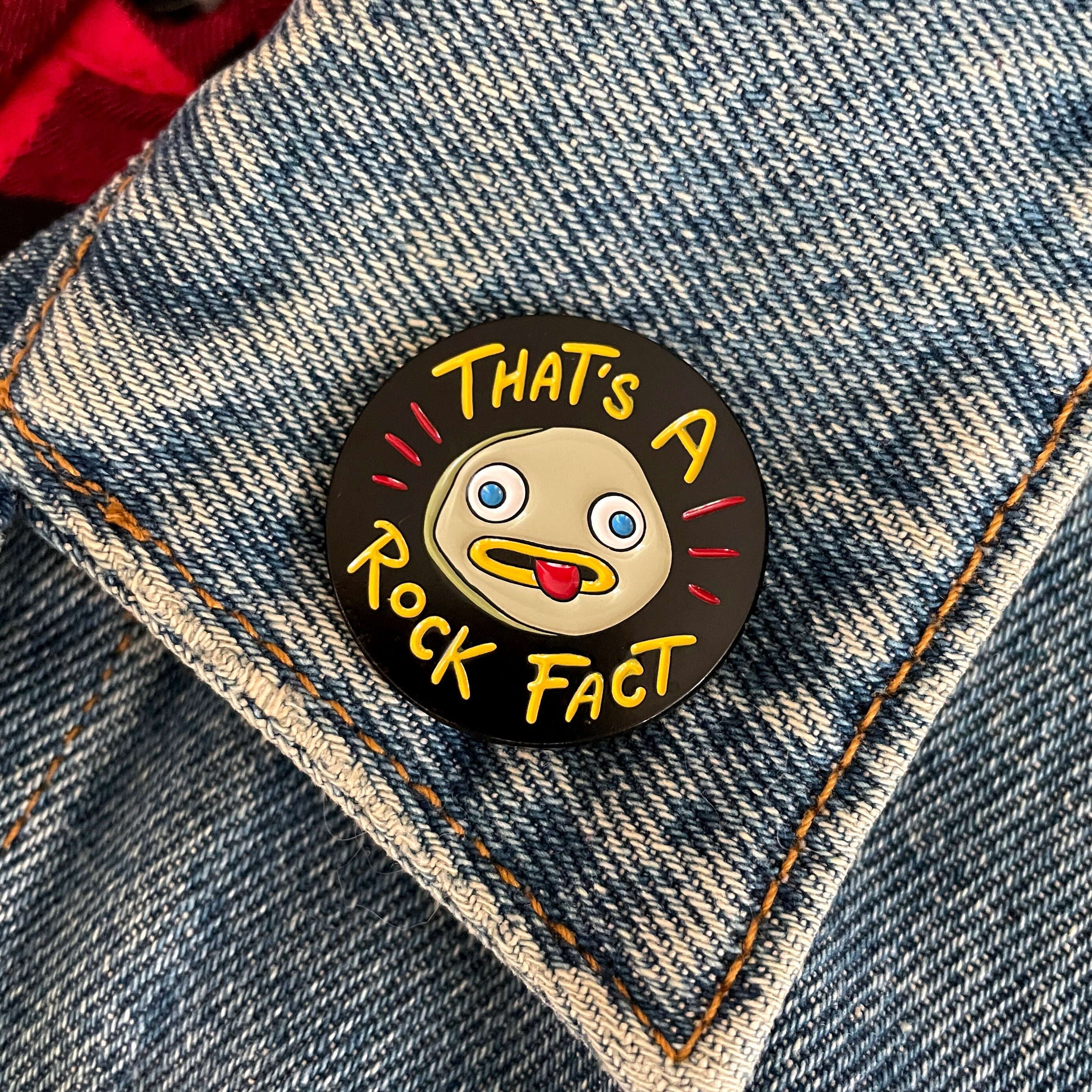 Rock Fact Enamel Pin Over the Garden Wall