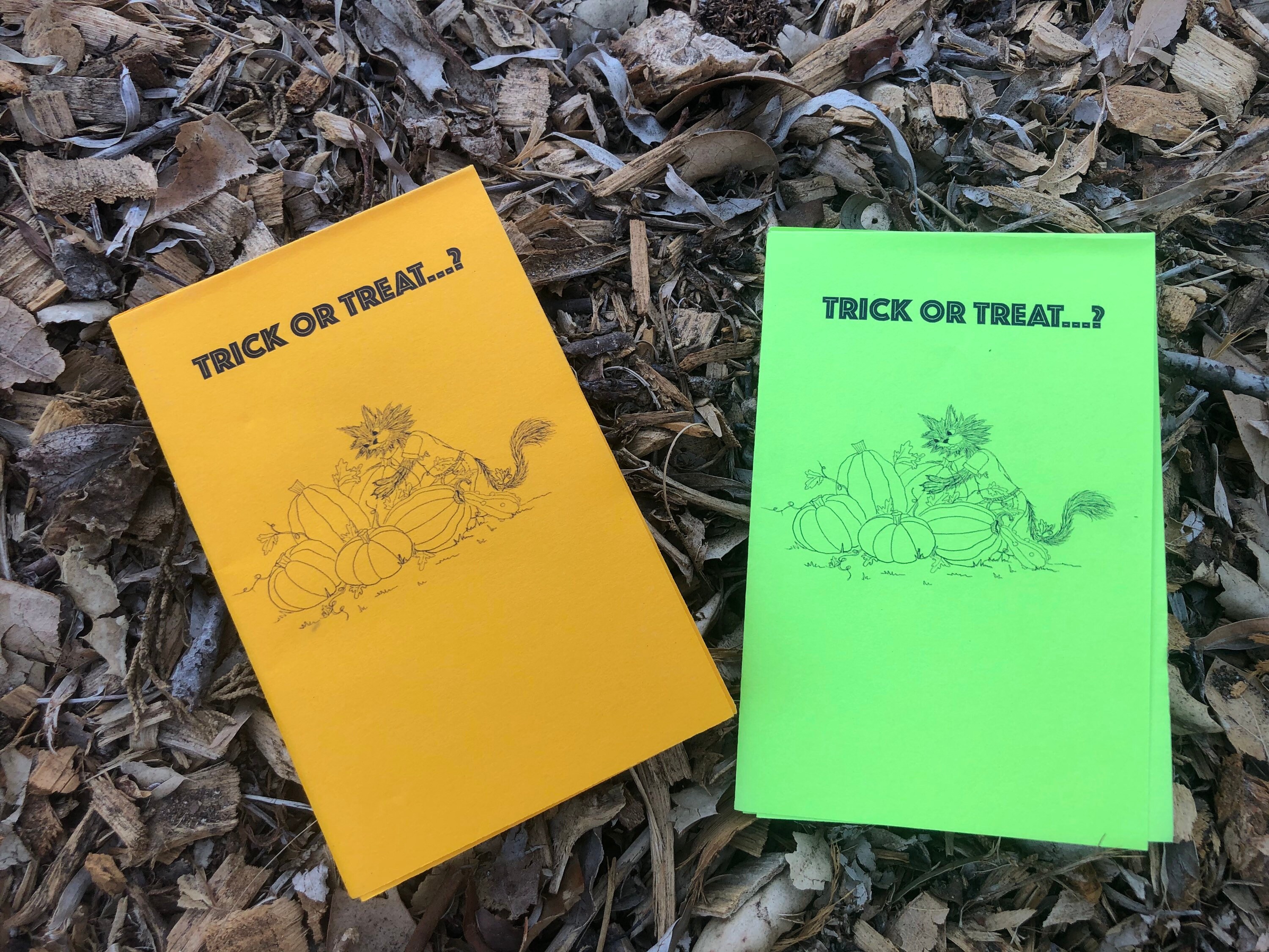 MINI ZINE Cat Zine Halloween Zine Picture Book Childrens Etsy