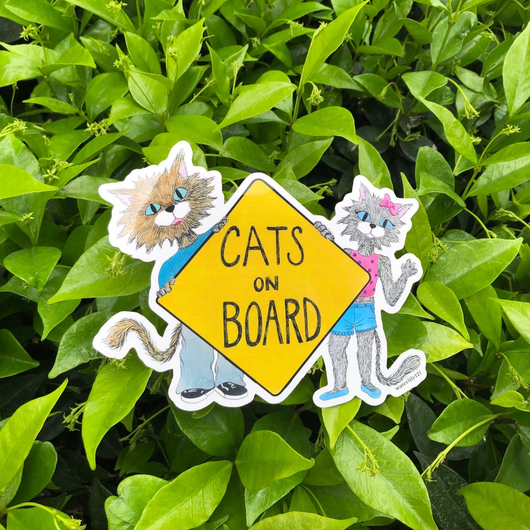 Cat on Board, Cats on Board Stickers, Bumper Sticker Etsy