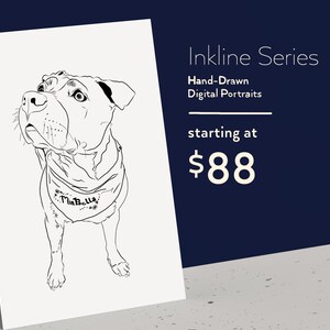 Custom Pet Portrait • Digital Pet Drawing • Dog or Cat Portrait from Photo • Hand-Drawn Pet Art • Pet Memorial Gift