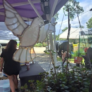 Dove Plant Guardian in stained glass