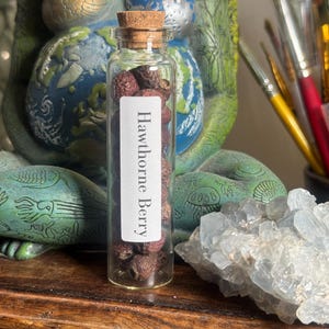 Organic Dried Hawthorne Berry, 20ml Apothecary Bottle with Cork,  Tea, Herbal Tea, Apothecary Herbs, Witchy Herbs, Apothecary Supply