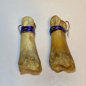 Puede incluir: Pendientes hechos de hueso, cada uno con una forma natural de hueso, un alambre azul enrollado y un gancho para la oreja plateado. El hueso tiene un color marrón claro con áreas más oscuras.