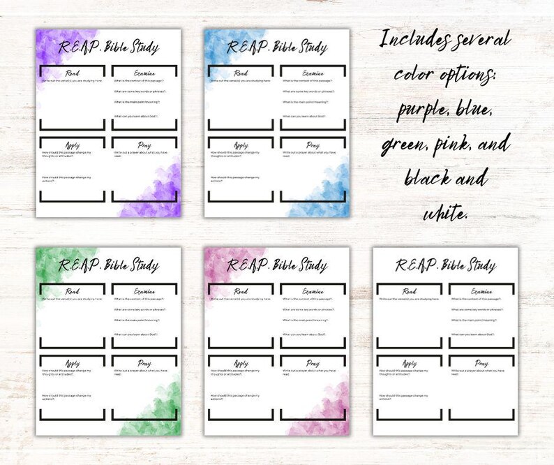 Printable R.E.A.P. Bible Study Template (5 Color Options, Letter Size ...