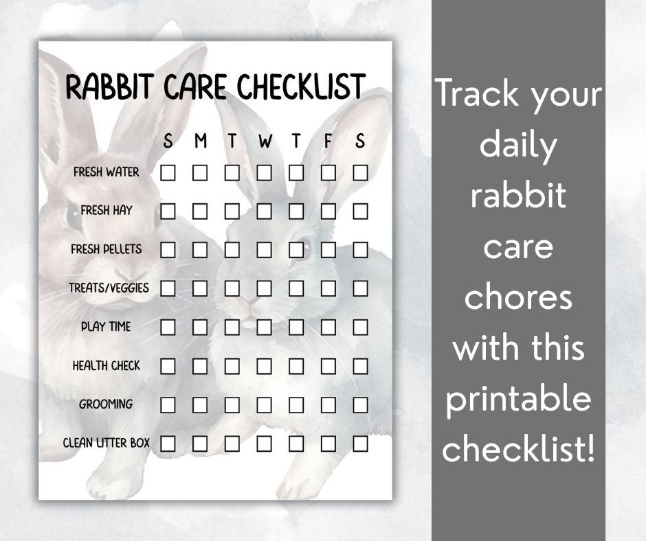 Printable Rabbit Care Checklist: Daily Chore Chart (PDF Download ...