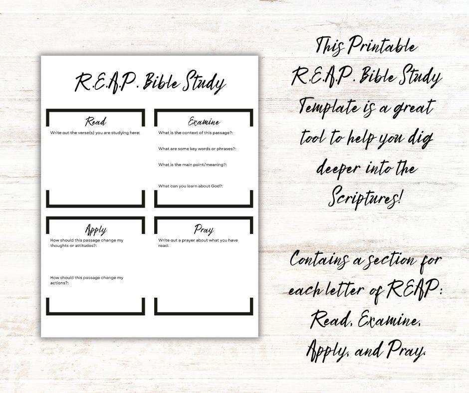 Printable R.E.A.P. Bible Study Template (5 Color Options, Letter Size ...
