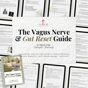 Guide de réinitialisation du nerf vague et de l'intestin | Aide à la digestion par les naturopathes, soulagement des ballonnements (PDF)