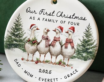Personalized Family of 4 Ornament, Family Christmas Ornament, Family of 3 New Parent Gift Christmas Keepsake, Custom Family Gifts