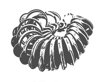 Ringgrößenmesser