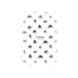 May include: A collection of small, cartoon-style octopuses in various sizes and poses, printed on a white background. The octopuses are black and white with large, round eyes. The text "T. Ocellus (Species 64)" is also present.