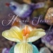 Owner of <a href='https://www.etsy.com/nz/shop/hawaiistore?ref=l2-about-shopname&from_page=listing' class='wt-text-link'>hawaiistore</a>
