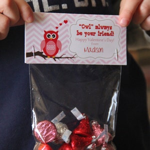 San Valentino stampabile da ragazza - Gufo San Valentino - Rosa e Rosso Ragazza Fai da te San Valentino - Treat Bag Toppers Labels
