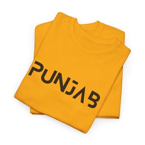 Punjab shirt modern font graphic tee desi style unisex streetwear bold design for men and women cultural gift outfit